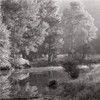 yosemity at sunrise, black and white